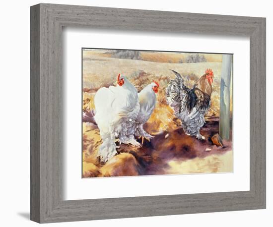 Earls Grove, 1995-Sandra Lawrence-Framed Giclee Print