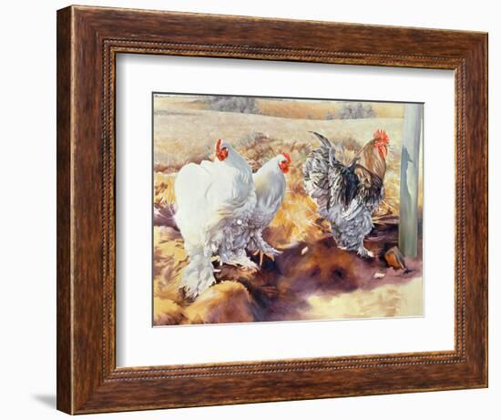 Earls Grove, 1995-Sandra Lawrence-Framed Giclee Print