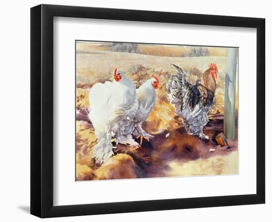 Earls Grove, 1995-Sandra Lawrence-Framed Giclee Print