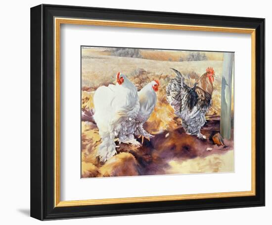 Earls Grove, 1995-Sandra Lawrence-Framed Giclee Print