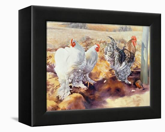 Earls Grove, 1995-Sandra Lawrence-Framed Premier Image Canvas