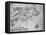 Early 17th-Century Map of the North American Coast from Cape Cod to Newfoundland-null-Framed Premier Image Canvas