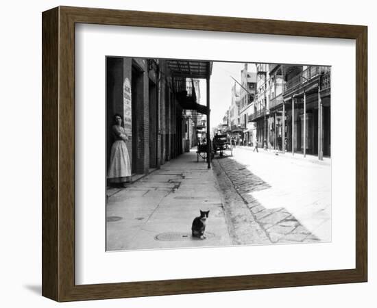 Early 1900s Cat Sitting on Street Older Section of New Orleans,, Louisiana-null-Framed Photographic Print