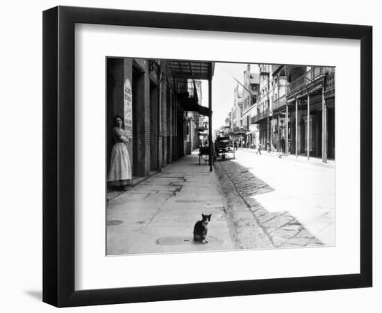 Early 1900s Cat Sitting on Street Older Section of New Orleans,, Louisiana-null-Framed Photographic Print