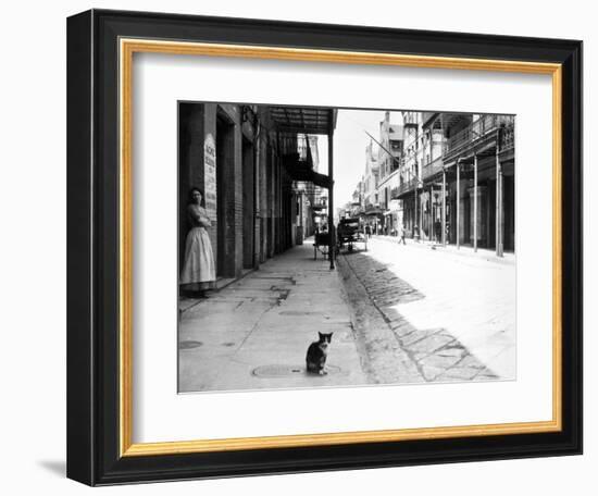 Early 1900s Cat Sitting on Street Older Section of New Orleans,, Louisiana-null-Framed Photographic Print