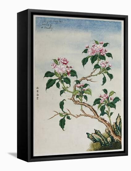 Early 19th-Century Chinese Watercolor of Flowers-null-Framed Premier Image Canvas