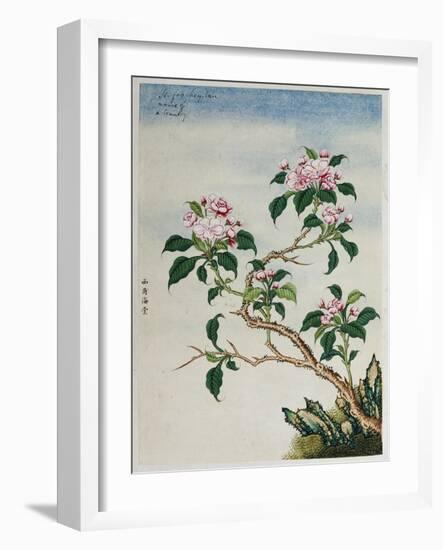 Early 19th-Century Chinese Watercolor of Flowers-null-Framed Giclee Print