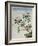 Early 19th-Century Chinese Watercolor of Flowers-null-Framed Giclee Print