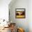 Early Autumn II-Max Hayslette-Framed Premier Image Canvas displayed on a wall