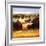 Early Autumn II-Max Hayslette-Framed Premium Giclee Print