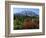 Early Autumn, Lahar, Mount St. Helen, Mount St. Helen Wilderness, Washington, USA-Michel Hersen-Framed Photographic Print