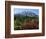 Early Autumn, Lahar, Mount St. Helen, Mount St. Helen Wilderness, Washington, USA-Michel Hersen-Framed Photographic Print