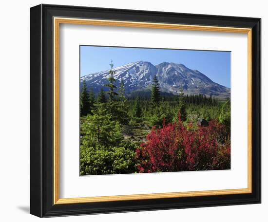 Early Autumn, Lahar, Mount St. Helen, Mount St. Helen Wilderness, Washington, USA-Michel Hersen-Framed Photographic Print