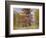 Early Autumn-John Joseph Enneking-Framed Giclee Print