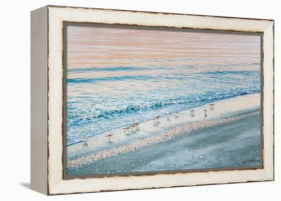 Early Birds-Mary Lou Johnson-Framed Stretched Canvas