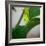 Early Bloom II-Nicole Katano-Framed Photo