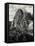 Early Carving on Mount Rushmore-null-Framed Premier Image Canvas