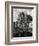 Early Carving on Mount Rushmore-null-Framed Photographic Print