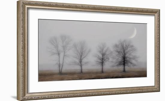 Early December-Heather Jacks-Framed Giclee Print