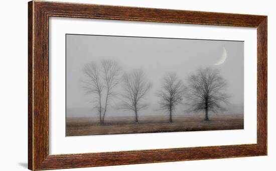 Early December-Heather Jacks-Framed Giclee Print