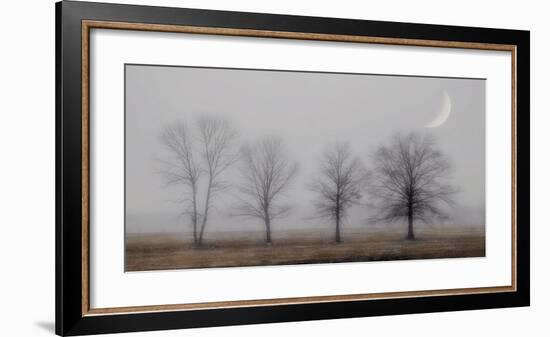 Early December-Heather Jacks-Framed Giclee Print