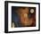 Early Elements-Herb Dickinson-Framed Photographic Print