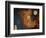 Early Elements-Herb Dickinson-Framed Photographic Print