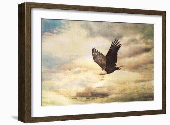 Early Evening Flight Bald Eagle 1-Jai Johnson-Framed Giclee Print