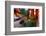 Early Evening Street Scene in the Old Town-Simon Montgomery-Framed Photographic Print