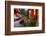 Early Evening Street Scene in the Old Town-Simon Montgomery-Framed Photographic Print