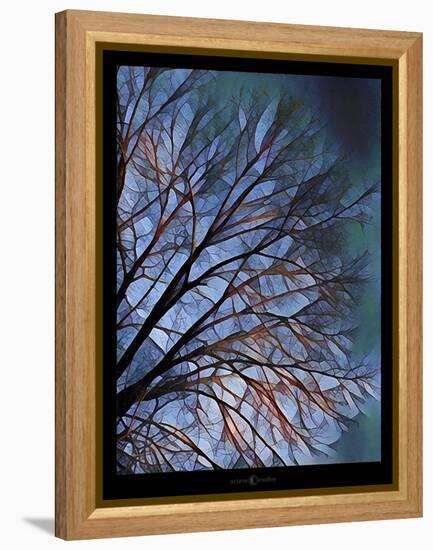 Early Evening Tree-Tim Nyberg-Framed Premier Image Canvas