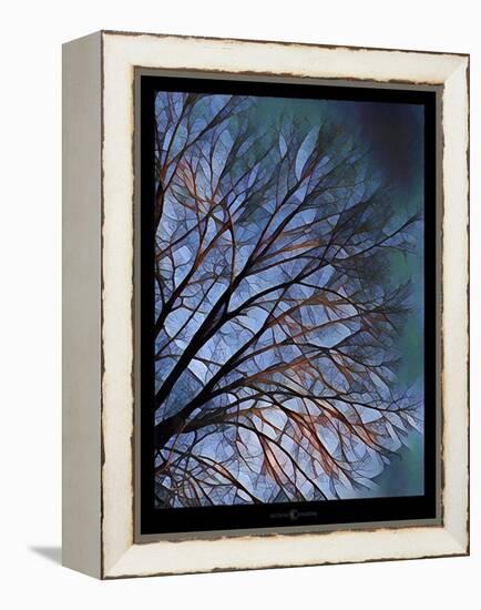 Early Evening Tree-Tim Nyberg-Framed Premier Image Canvas