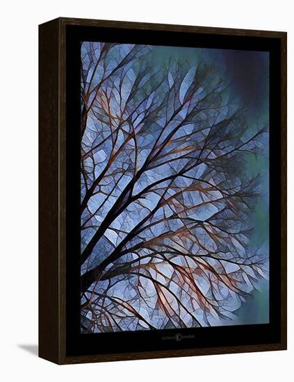 Early Evening Tree-Tim Nyberg-Framed Premier Image Canvas