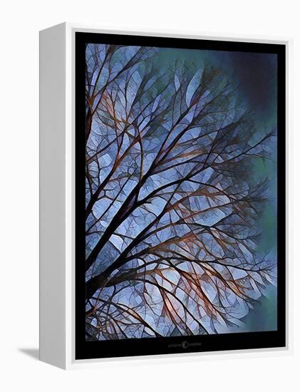 Early Evening Tree-Tim Nyberg-Framed Premier Image Canvas