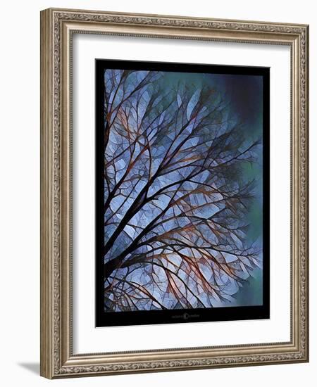 Early Evening Tree-Tim Nyberg-Framed Giclee Print