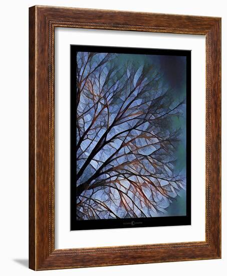 Early Evening Tree-Tim Nyberg-Framed Giclee Print