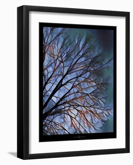 Early Evening Tree-Tim Nyberg-Framed Giclee Print