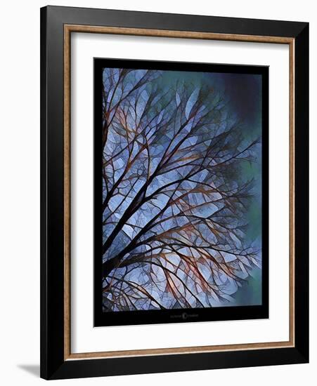 Early Evening Tree-Tim Nyberg-Framed Giclee Print