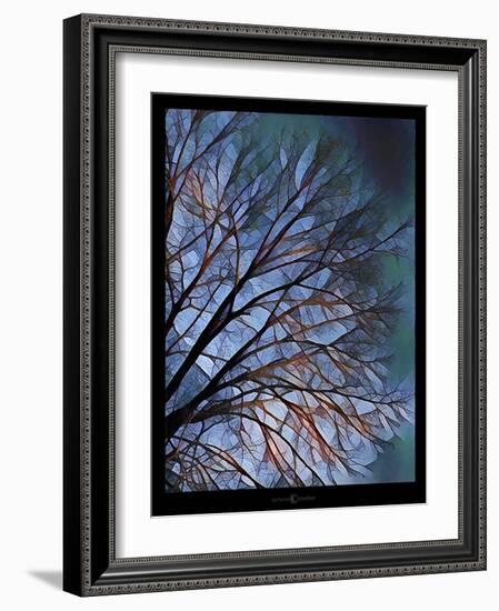 Early Evening Tree-Tim Nyberg-Framed Giclee Print