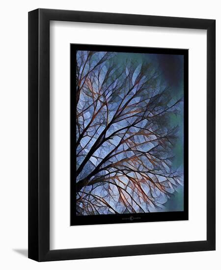 Early Evening Tree-Tim Nyberg-Framed Premium Giclee Print