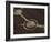 Early Example of a Crop Circle, Avon Wiltshire Border, England, United Kingdom, Europe-Woolfitt Adam-Framed Photographic Print