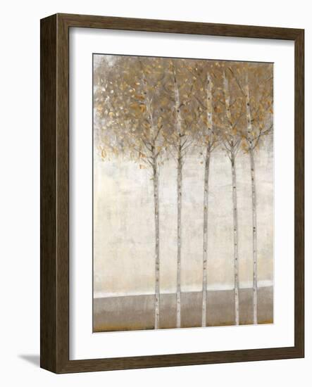 Early Fall I-Tim O'toole-Framed Art Print