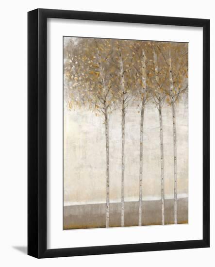 Early Fall I-Tim O'toole-Framed Art Print