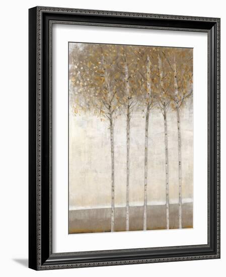 Early Fall I-Tim O'toole-Framed Art Print