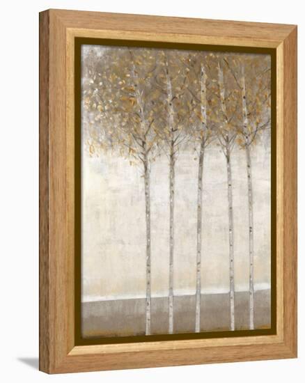 Early Fall I-Tim O'toole-Framed Stretched Canvas