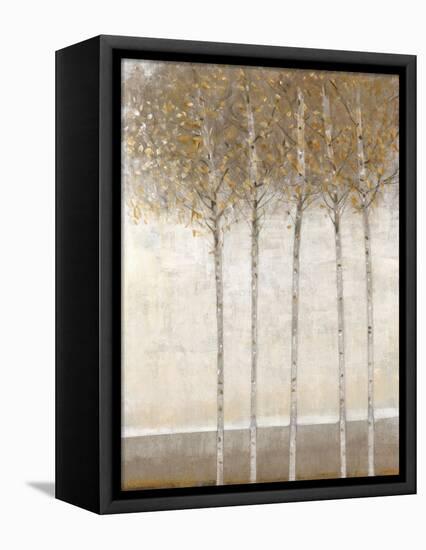 Early Fall I-Tim O'toole-Framed Stretched Canvas