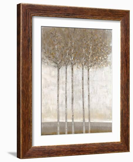 Early Fall II-Tim O'toole-Framed Art Print