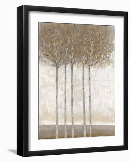 Early Fall II-Tim O'toole-Framed Art Print