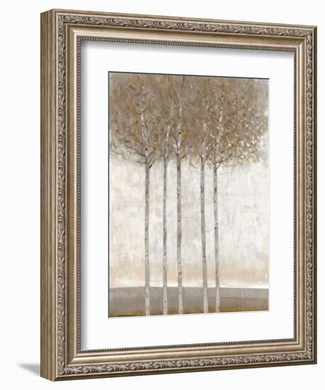 Early Fall II-Tim O'toole-Framed Art Print