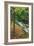Early Fall Stream, Catskills-Vincent James-Framed Premium Photographic Print
